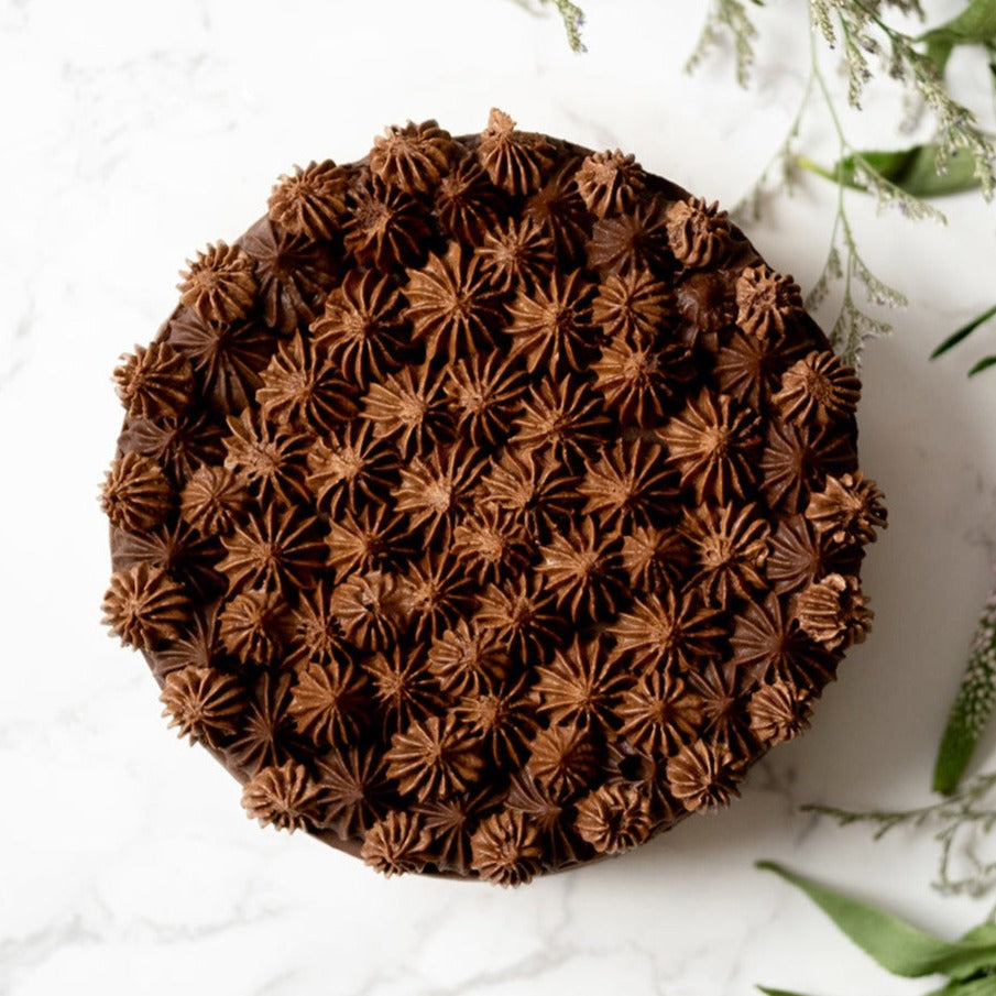 Chocolate Fudge Cake with a Whipped Ganache Frosting