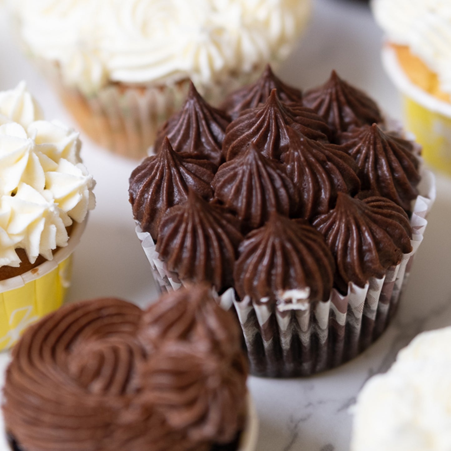 Moist Dark Chocolate Cupcakes (12 pcs)